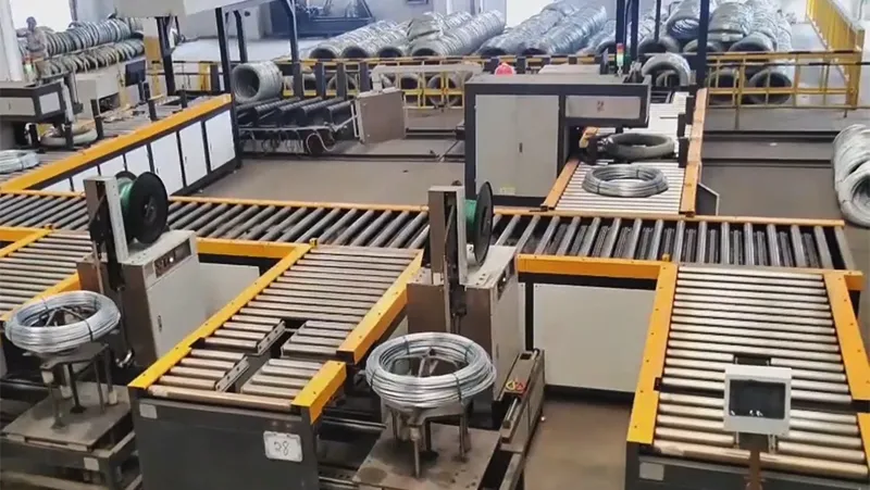 Horizontal Wire Coil Packaging Line WS-25
