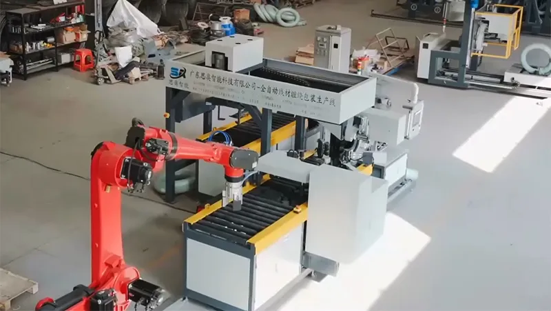 Automatic Horizontal Wire Coil Packaging Line WS-35