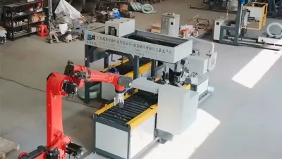 Automatic Horizontal Wire Coil Packaging Line WS-35