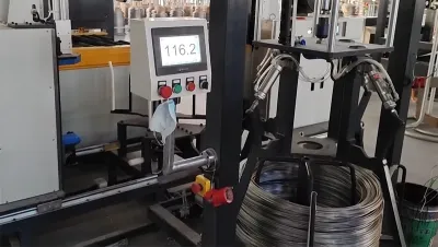 Automatic Horizontal Wire Coil Packaging Line WS-400