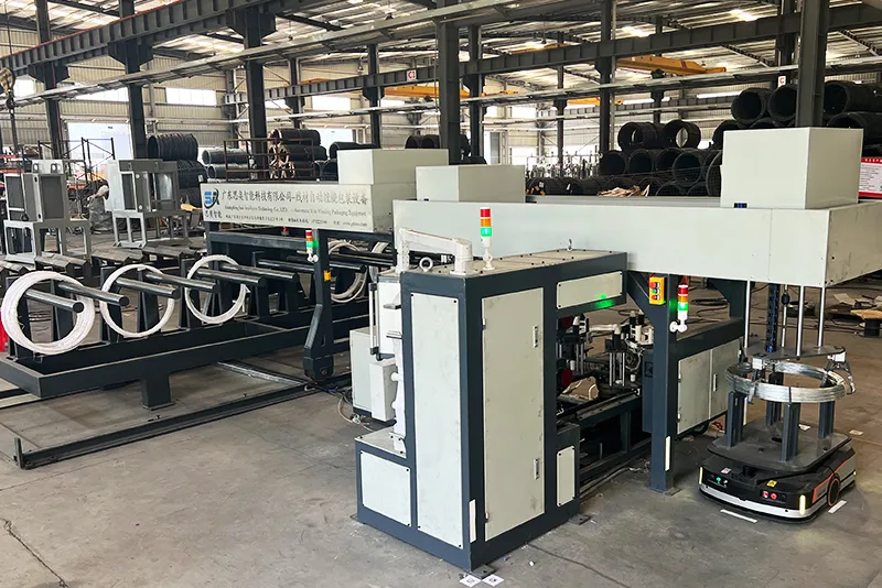 SA-WS-10 Automatic Horizontal Wire Coil Packaging Line